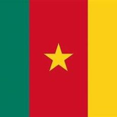 service parent category