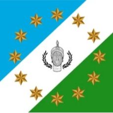 service parent category