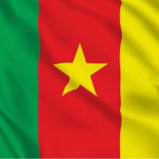 service parent category